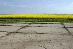 Airfield Strasshof 03