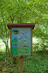Albbruck Laufenburg (Baden) Naturschutzgebiet Mühlbachtal Station 1