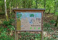 Albbruck Laufenburg (Baden) Naturschutzgebiet Mühlbachtal Station 2