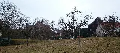 Alfdorf 2017 0131