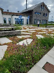 Alfsee Natur Und Bildungszentrum