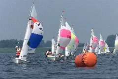 Alfsee55