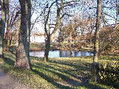 Aligse Teich1