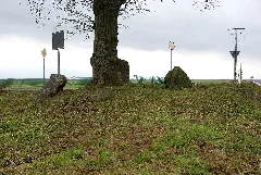 Alle Vierersteine Krimpe