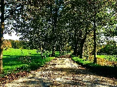 Alley Panoramio (6)