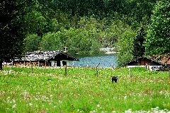 Almen Loedensee
