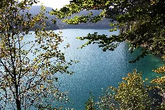 Alpsee Panoramio (3)