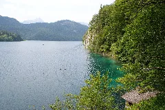 Alpsee Panoramio