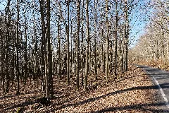 Alsberger Hang Gutsbezirk Spessart 2022 03 09 02