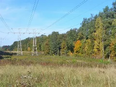 Alt Buchhorst Stromleitung (Power Line Chain) Geo.hlipp.de 43359