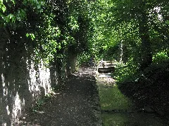 Altbachtal 2