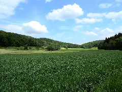 Altberg 2012 05 13 14 59 32 (P7000)