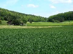 Altberg 2012 05 13 15 00 49 (P7000)