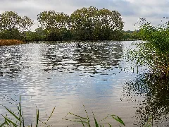 Alte Aller In Etelsen( Steinfeld) 2022
