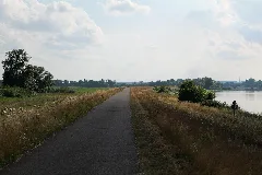 Alte Oder Near Schwedt In Np Unteres Odertal 2021 07 10 05