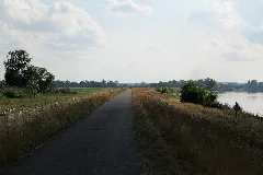 Alte Oder Near Schwedt In Np Unteres Odertal 2021 07 10 06