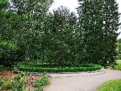 Alte Schlangengrube
