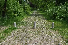Alte Sieker Landstraße (Hamburg Rahlstedt).Mittlerer Abschnitt.ajb
