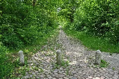 Alte Sieker Landstraße (Hamburg Rahlstedt).Westlicher Abschnitt.2.Ajb