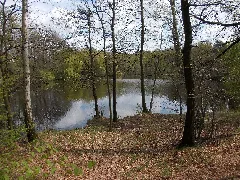 Altenbachtonteich
