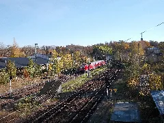 Altenburgbfs
