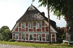 Altengammerelbdeich14