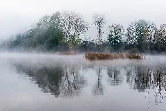 Alter Rhein Bei Hohenems Herbst 2014
