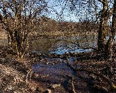 Altfelder Graben