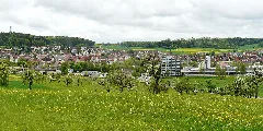 Althengstett Panoramio (2)