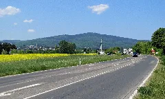 Altkoenig 2011 Kronberg 045