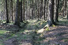 Altkönig 2020 03 25 83