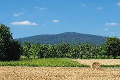 Altkoenig Von Schwalbach Mde 3