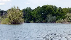 Altrhein Neuburgweier Nsg Bw Ka Fermasee B