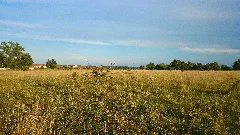 Am Bindlacher Berg Panoramio