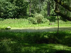 Am Bruch Panoramio