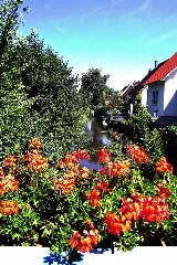 Am Federbach Panoramio