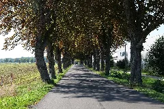 Am Leuschentiner Damm In Malchin 2021 09 08 09