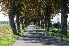 Am Leuschentiner Damm In Malchin 2021 09 08 10