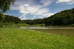 Am Linsenbergweiher 03
