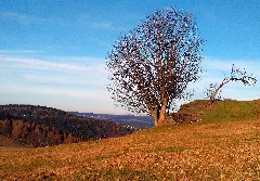 Am Riedelfelsen