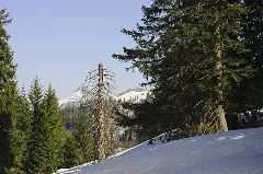 Am Riesenberg Baum Geo.hlipp.de 15728