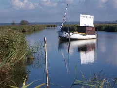 Am Saaler Bodden