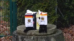 Am Tännicht Panoramio