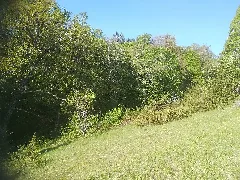 Am Tiefen Weg
