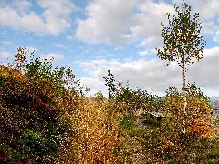 Am Tönsberg