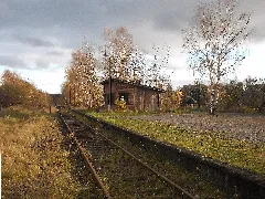 Ammelshainbf