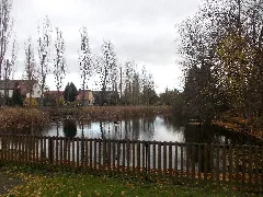 Ammelshainteich1