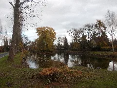 Ammelshainteich2