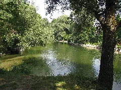 Amper Bei Der Amperinsel Go 1