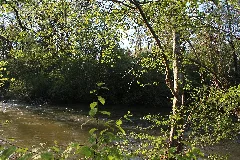 Amperauen01